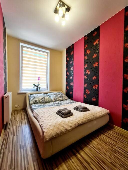 Mikolajki Apartament Miedzy Mostami Екстер'єр фото